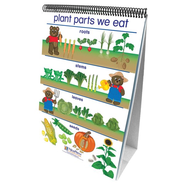 Newpath Learning Early Childhood Science Readiness Flip Charts, All About Plants 340021
